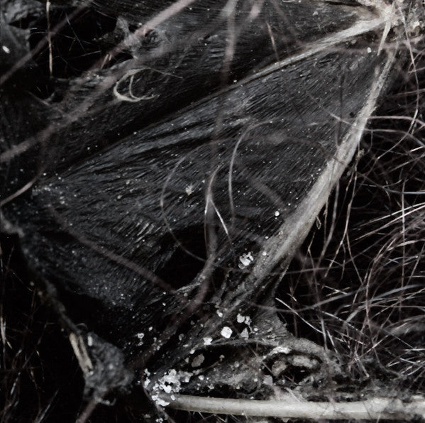 Demonologists : Dissociative Themes (CD, Album, Ltd)