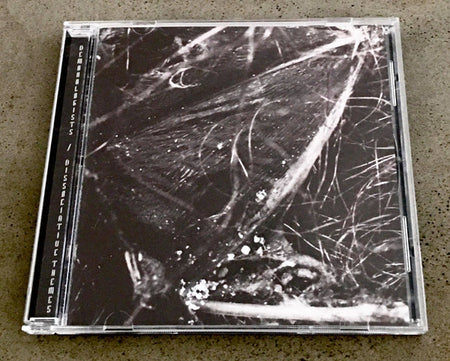 Demonologists : Dissociative Themes (CD, Album, Ltd)