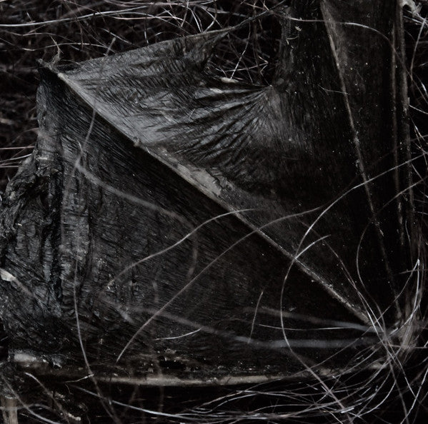 Demonologists : Dissociative Themes (CD, Album, Ltd)