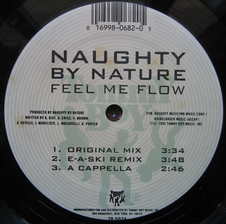 Naughty By Nature : Feel Me Flow / Hang Out And Hustle (12")