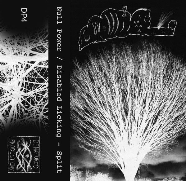 Null Power / Disabled Licking : Split (Cass, Ltd, Num)