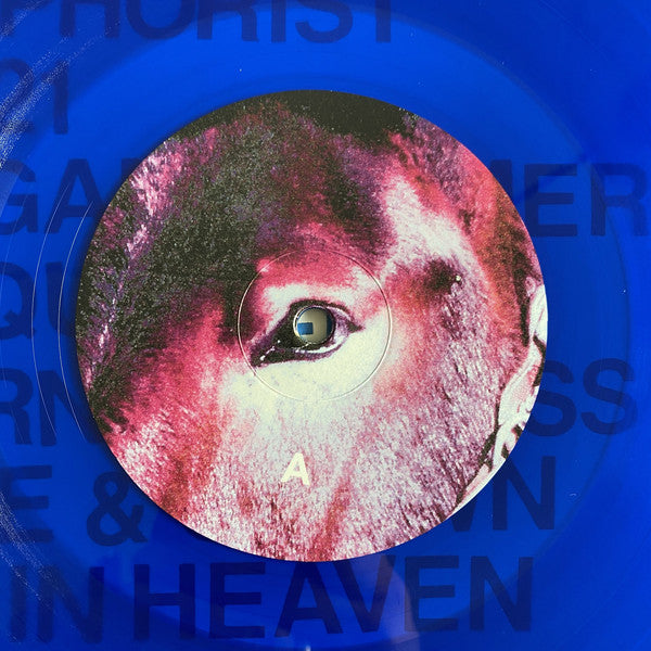 Protomartyr (2) : Ultimate Success Today (LP, Album, Ltd, Blu)