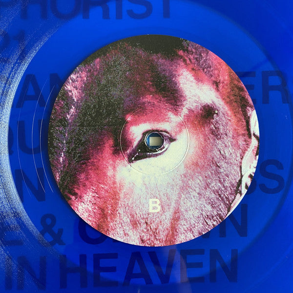 Protomartyr (2) : Ultimate Success Today (LP, Album, Ltd, Blu)