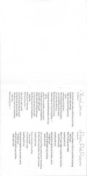 Adrian Belew : Young Lions (CD, Album)