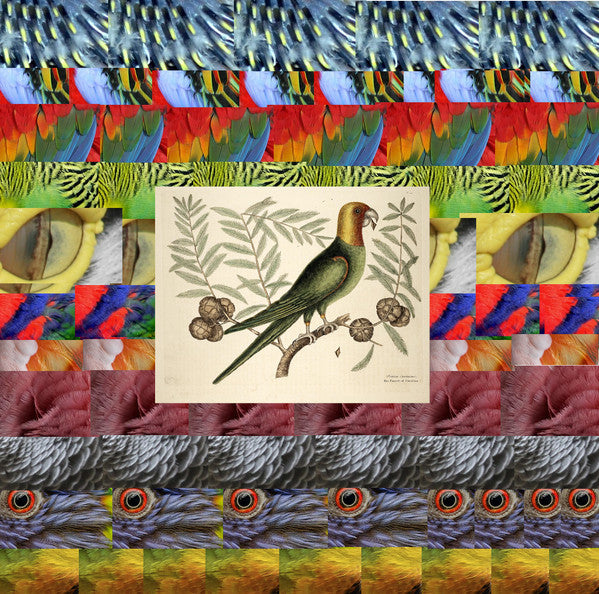 Collapsing : An Extinction Event (CDr, Ltd, Num)