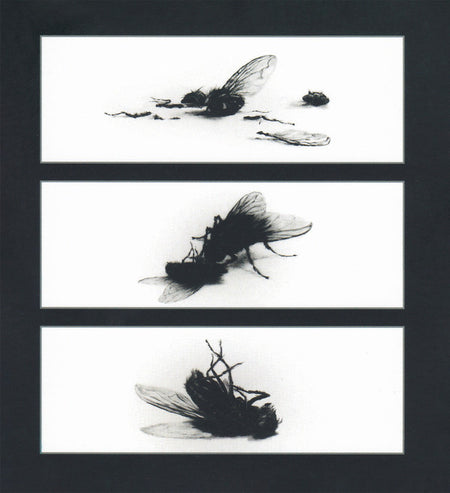 Throat (3) : Bareback (Stripped & Remasked) (2xCD, Album)
