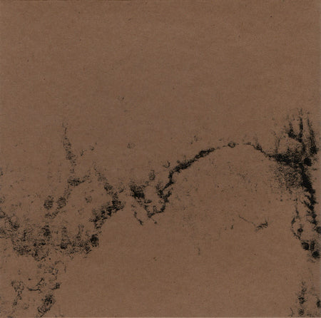 André Foisy & Jacob Essak : Flight Of Rays (CD, EP)