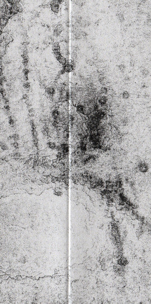 André Foisy & Jacob Essak : Flight Of Rays (CD, EP)