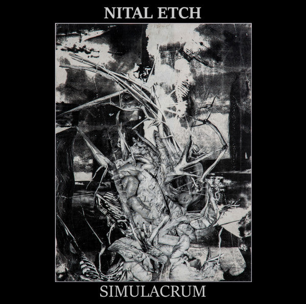 Nital Etch : Simulacrum (CDr, Album)