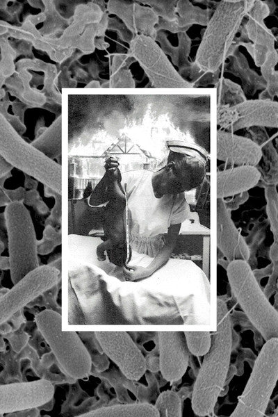 Maltreatment : Influencing The Outcome (Cass)