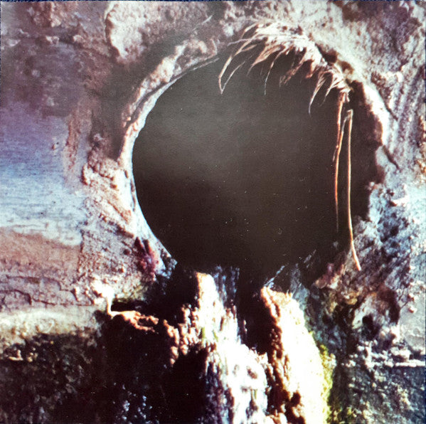 Sleeper (4) Feat. ID (4) : The Crawlspace (CDr, Album)