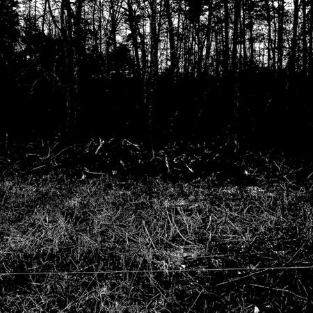 Hull House : Teeth (CDr)