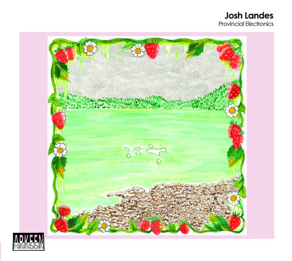 Josh Landes : Provincial Electronics (CDr)