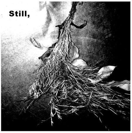 Estlin Usher : Still, (CDr, Album)