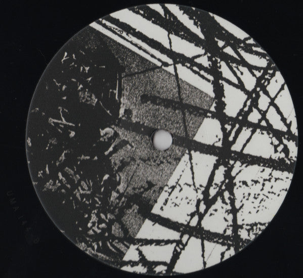 Merzbow : Rainbow Electronics (2xLP, Album, Ltd, RE, RM)