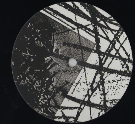 Merzbow : Rainbow Electronics (2xLP, Album, Ltd, RE, RM)