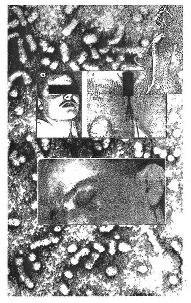 Bacillus : Quarantined (Cass, Album, C30)