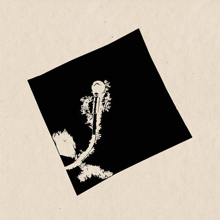 Kazumoto Endo / Rorschach Collective : Bad Habit / The Expergefactor's Dreams (12", Ora + CD)