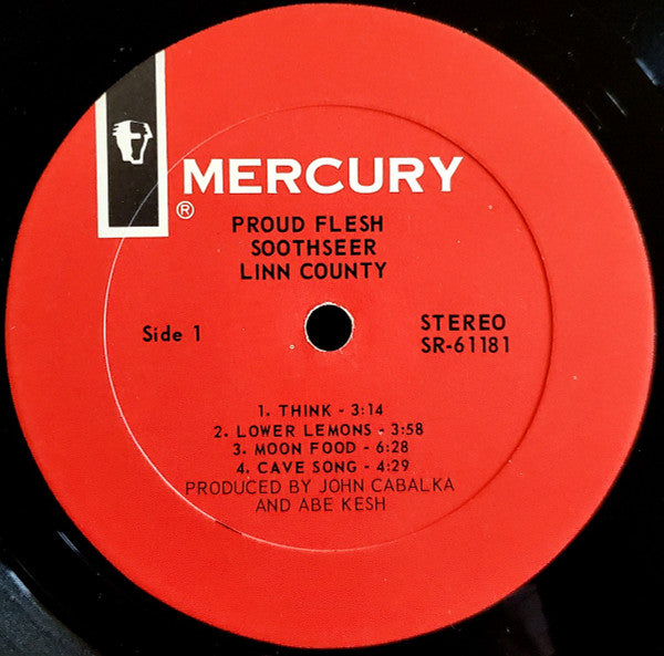 Linn County : Proud Flesh Soothseer (LP, Album, Gat)