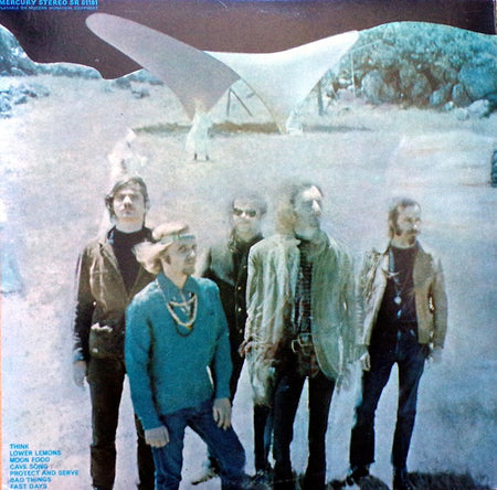 Linn County : Proud Flesh Soothseer (LP, Album, Gat)