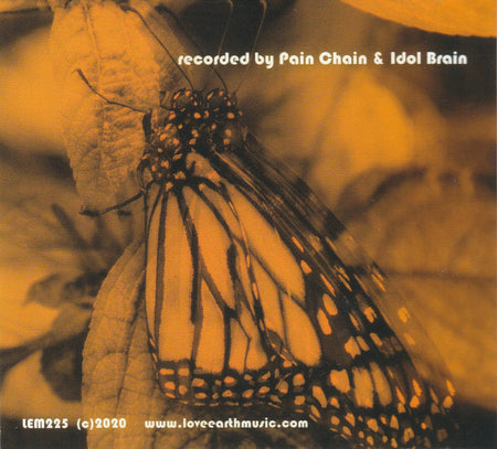 Pain Chain / Idol Brain : Soul On Fire (CDr, EP, Spl)