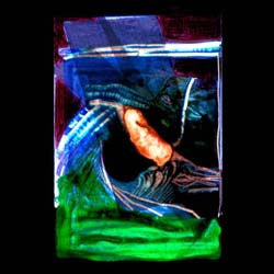 Jerk (4) : A Frenetic Menace (CD, Album)
