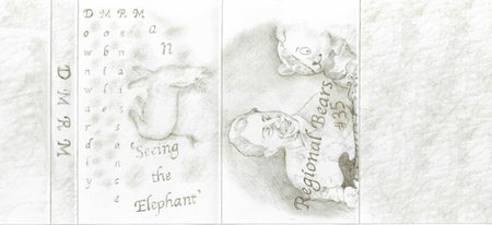 Downwardly Mobile Renaissance Man : Seeing The Elephant (Cass, Album)