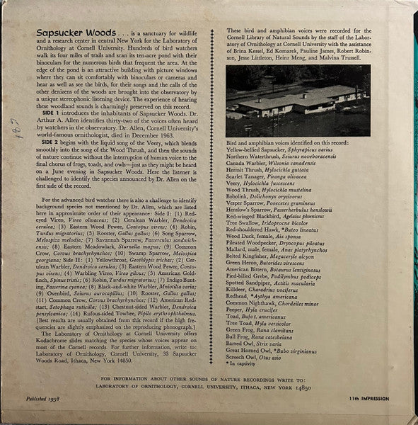 No Artist : An Evening In Sapsucker Woods (10", Album)