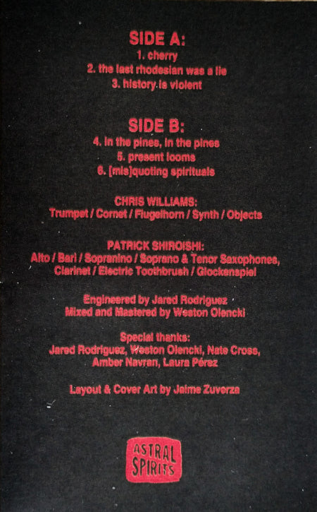 Chris Williams (84) & Patrick Shiroishi : Sans Soleil (Cass, Album, Ltd)