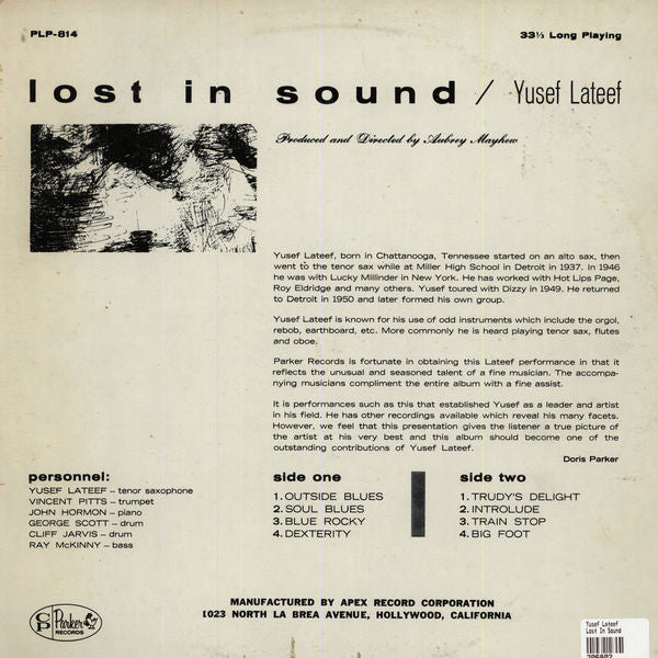Yusef Lateef : Lost In Sound (LP, Album)