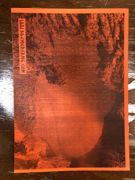 Sister Iodine : Flame Desastre (LP, Album, Cle)