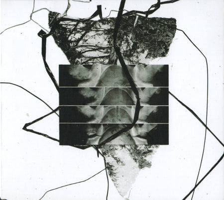 Hanzo Hasashi : Ikigai (CD, Album)
