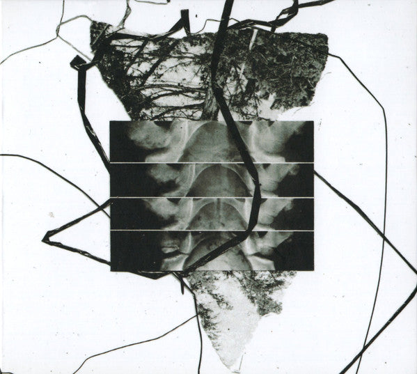 Hanzo Hasashi : Ikigai (CD, Album)
