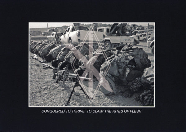 Serration : Rites Of Flesh (LP, Album, Ltd)