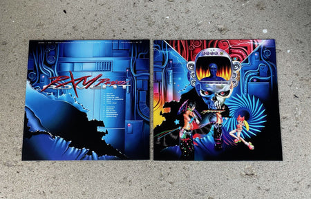 RXM Reality : Advent (LP, Album)