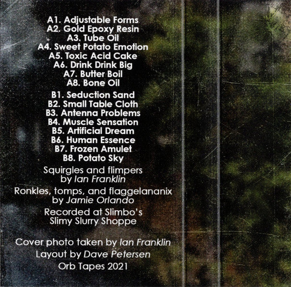 Floralplasm : Uncertain Sediment (Cass, Album, Ltd)