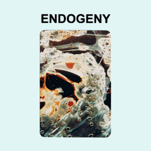 Gen Ken Montgomery : Endogeny (CD, Album, Ltd, RE)
