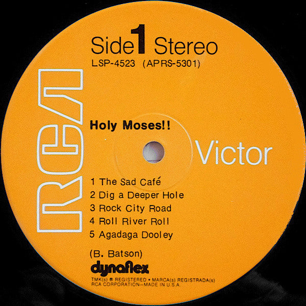 Holy Moses!!* : Holy Moses!! (LP, Album, Hol)