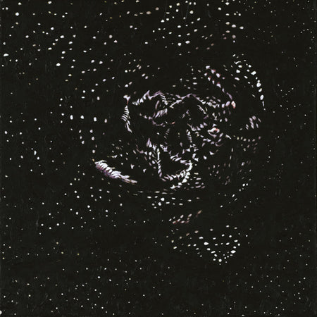 Antediluvian : The Divine Punishment (CD, Album)
