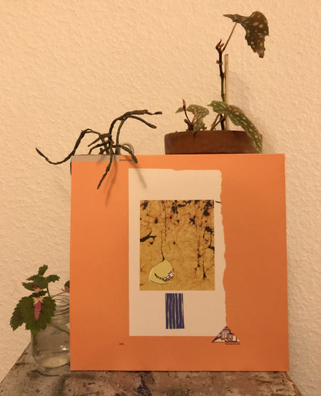 Mitchell Keaney : Head, Gut, Heart (LP)