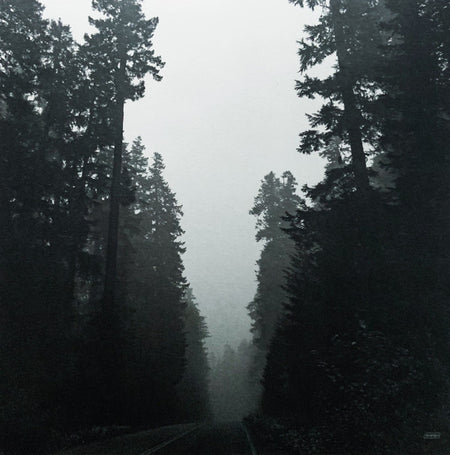 Grouper : Shade (LP, Album)