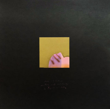 Grouper : Shade (LP, Album)