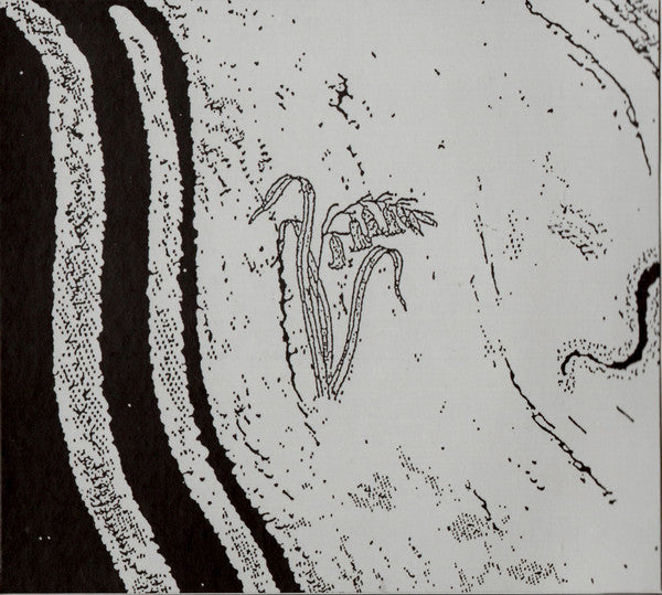 Flysch : Concrete Horizon (CD, Album, Ltd)