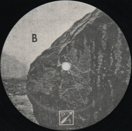 Hive Mind : Elysian Alarms [remixes] (LP, Ltd)