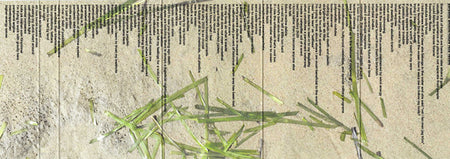 Maya Weeks : Tethers (Cass, Ltd)