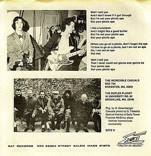 The Incredible Casuals : Picnic Ape (7", Single)
