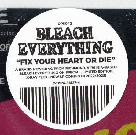 Bleach Everything : Fix Your Heart Or Die (Flexi, Single)
