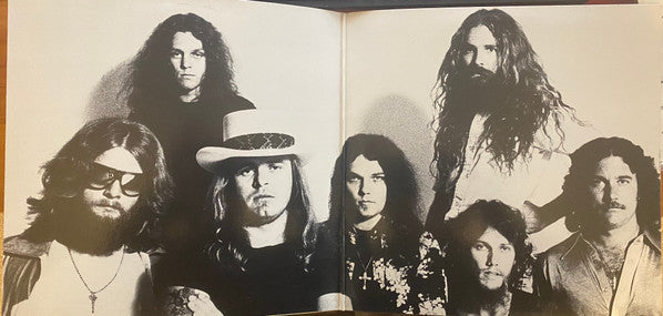 Lynyrd Skynyrd : Street Survivors (LP, Album, Pin)