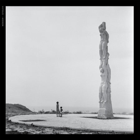 Evitceles : Accession (LP, Album)