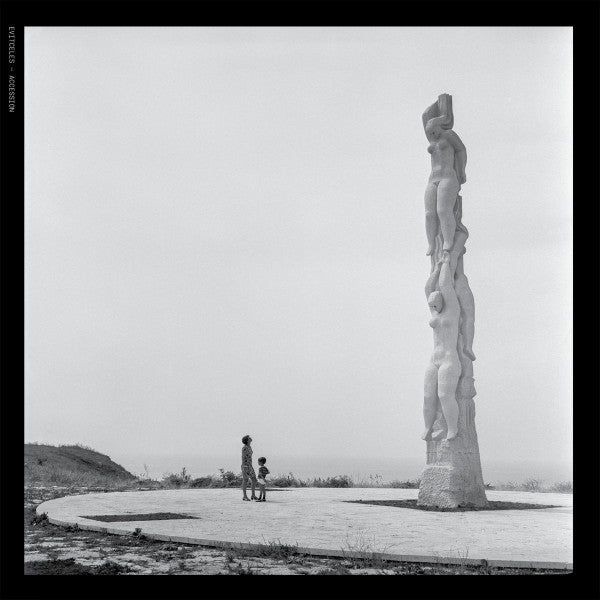Evitceles : Accession (LP, Album)